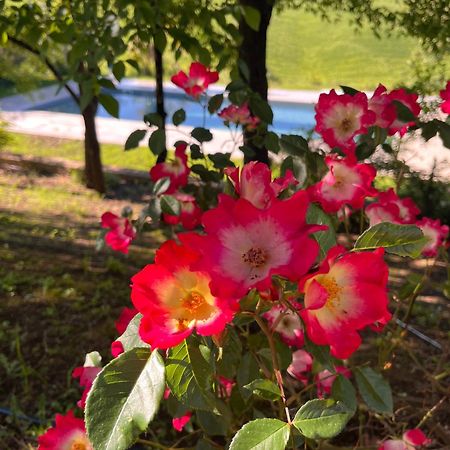 Agriturismo San Fabio كاستيلْنْوافو بيراردين المظهر الخارجي الصورة