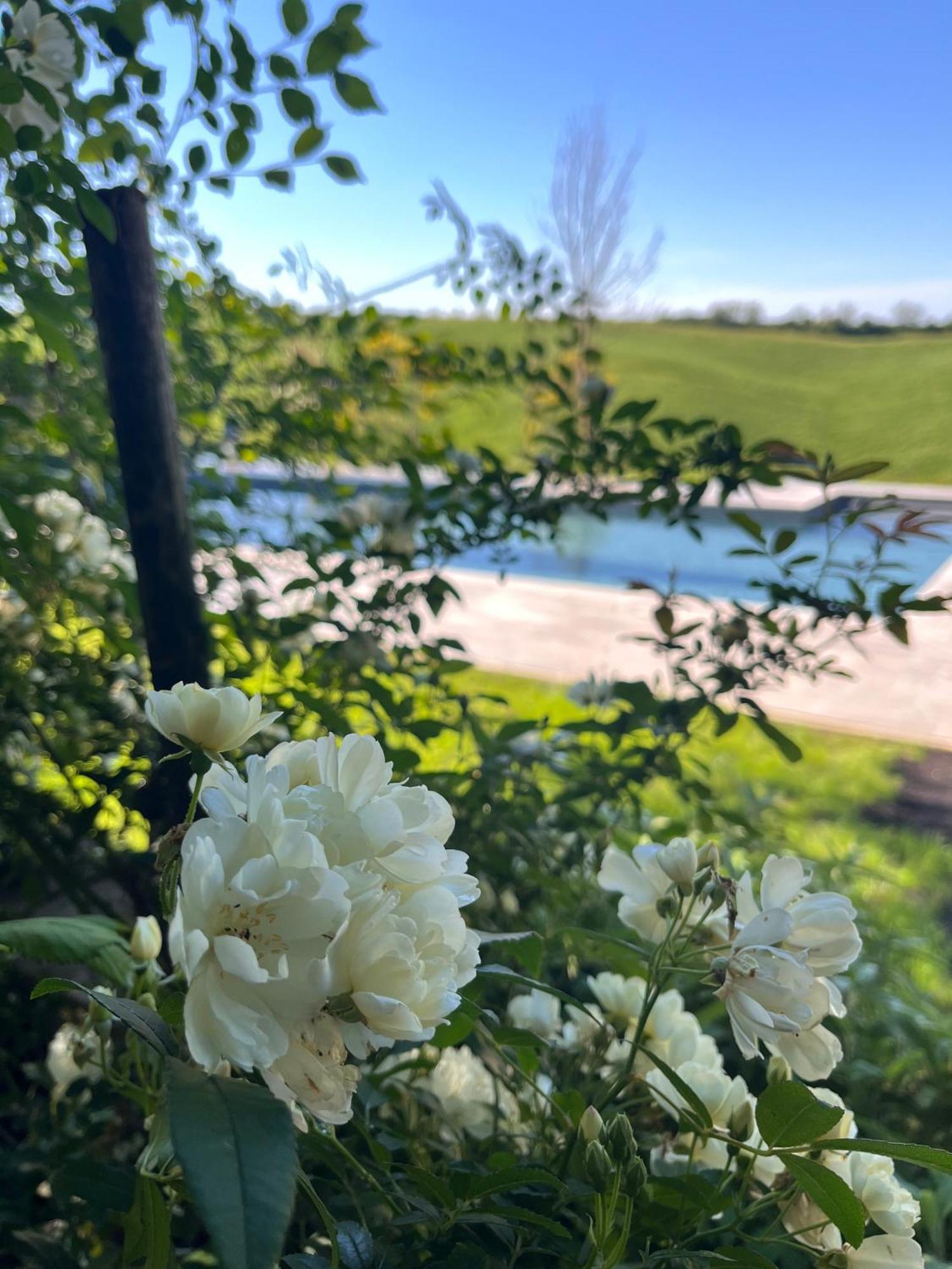 Agriturismo San Fabio كاستيلْنْوافو بيراردين المظهر الخارجي الصورة